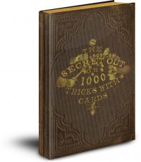 The Secret Out by W. H. Cremer PDF