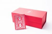 Superior Skull and Bones V2 - Red/Silver BRICK